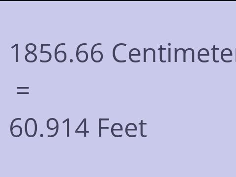 1856.66 CM TO FEET