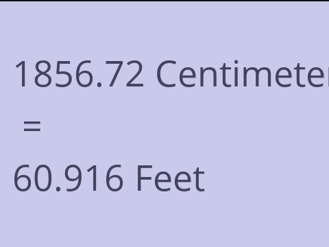 1856.72 CM TO FEET