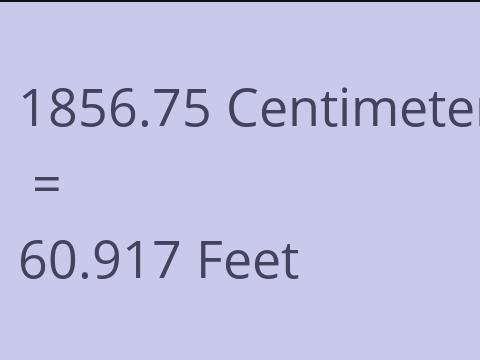 1856.75 CM TO FEET