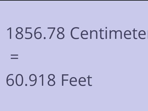 1856.78 CM TO FEET