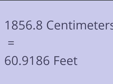 1856.8 CM TO FEET