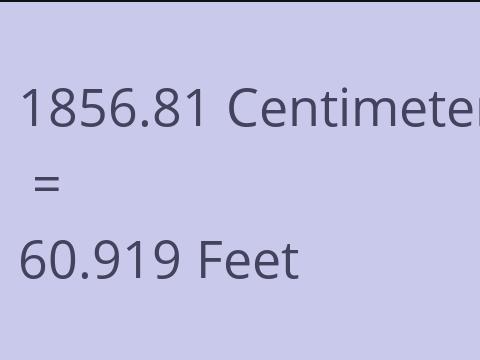 1856.81 CM TO FEET