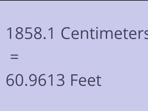 1858.1 CM TO FEET