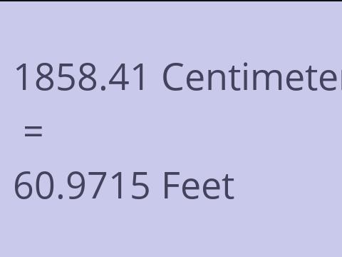 1858.41 CM TO FEET