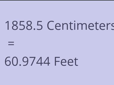 1858.5 CM TO FEET