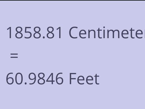 1858.81 CM TO FEET