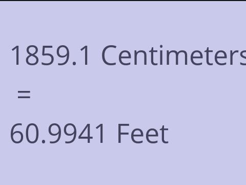 1859.1 CM TO FEET