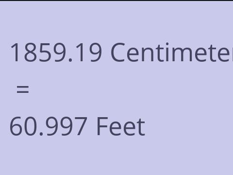 1859.19 CM TO FEET