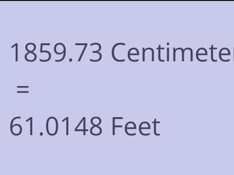 1859.73 CM TO FEET