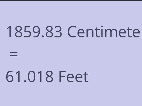 1859.83 CM TO FEET