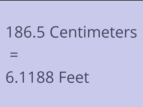 186.5 CM TO FEET