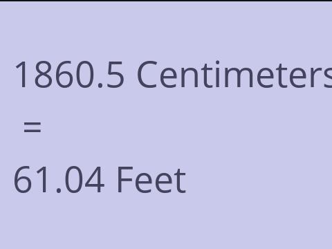 1860.5 CM TO FEET