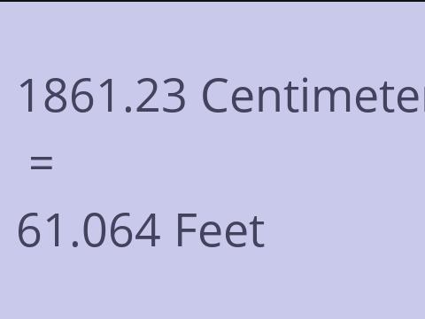 1861.23 CM TO FEET