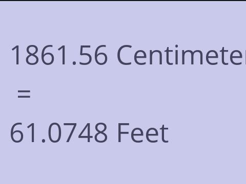 1861.56 CM TO FEET