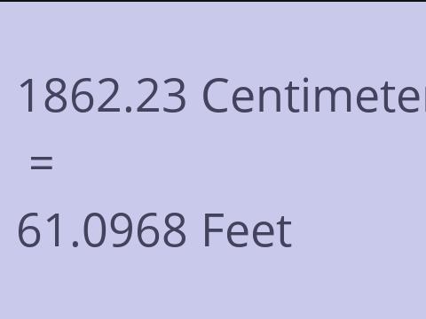 1862.23 CM TO FEET