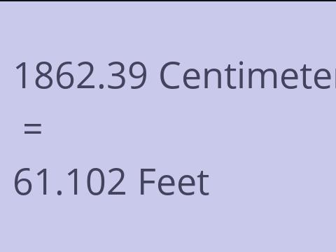 1862.39 CM TO FEET