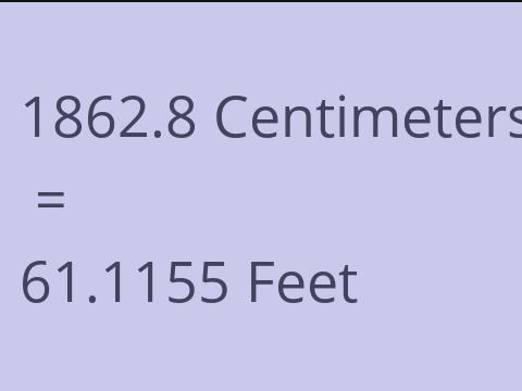 1862.8 CM TO FEET