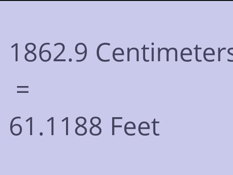 1862.9 CM TO FEET