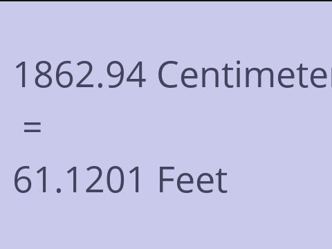 1862.94 CM TO FEET