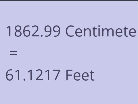 1862.99 CM TO FEET