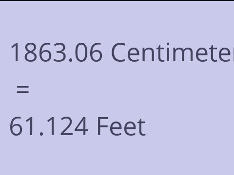 1863.06 CM TO FEET