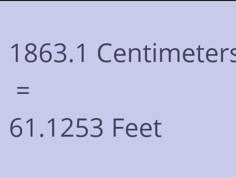 1863.1 CM TO FEET