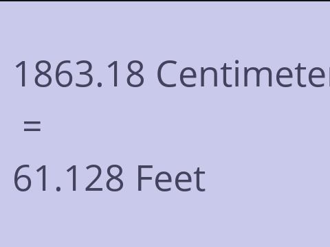 1863.18 CM TO FEET