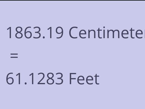 1863.19 CM TO FEET