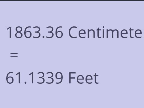 1863.36 CM TO FEET