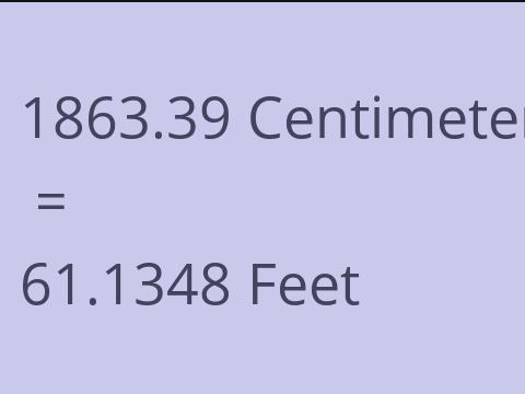 1863.39 CM TO FEET