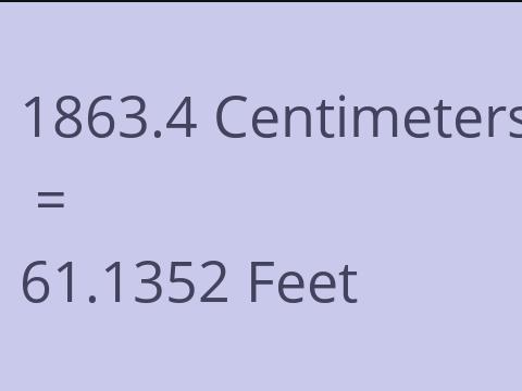 1863.4 CM TO FEET