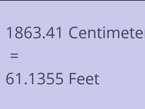 1863.41 CM TO FEET