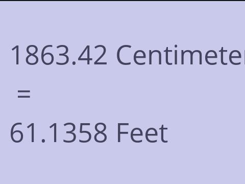 1863.42 CM TO FEET