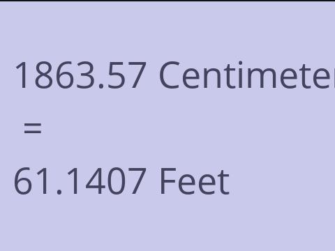 1863.57 CM TO FEET