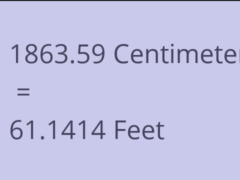 1863.59 CM TO FEET