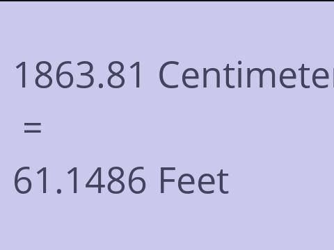 1863.81 CM TO FEET