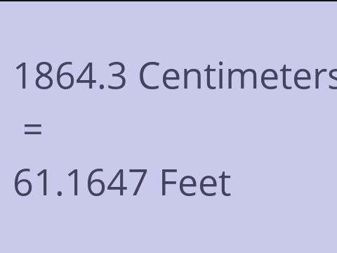 1864.3 CM TO FEET