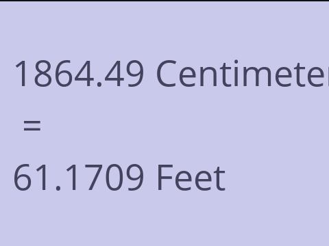 1864.49 CM TO FEET