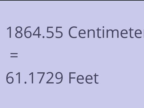 1864.55 CM TO FEET