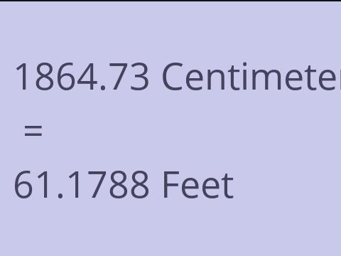 1864.73 CM TO FEET