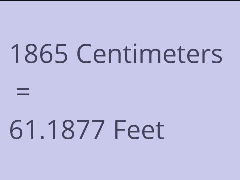 1865 CM TO FEET