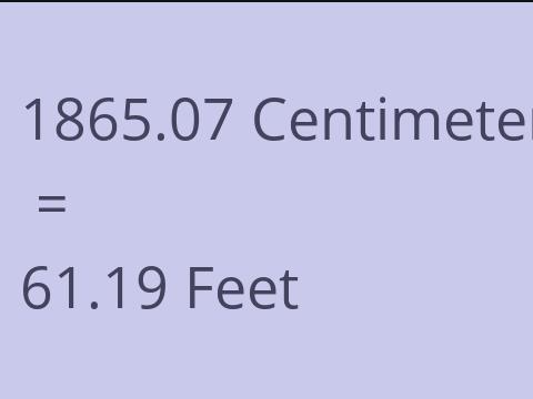 1865.07 CM TO FEET