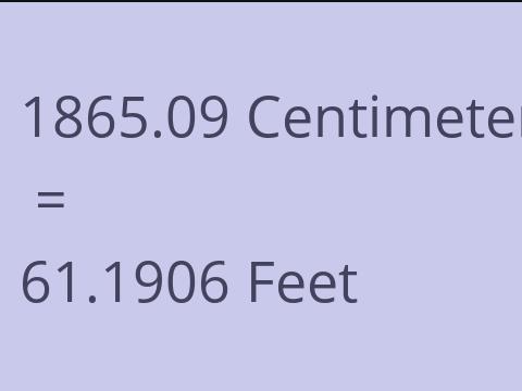 1865.09 CM TO FEET