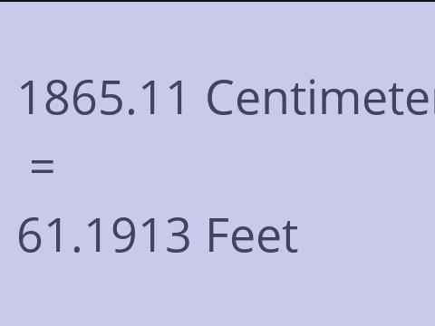 1865.11 CM TO FEET