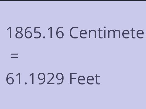 1865.16 CM TO FEET