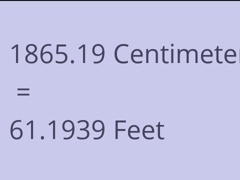 1865.19 CM TO FEET