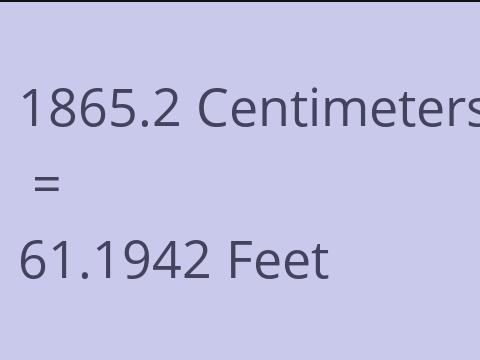 1865.2 CM TO FEET