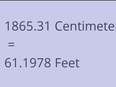 1865.31 CM TO FEET