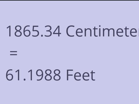 1865.34 CM TO FEET