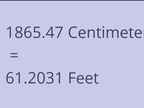 1865.47 CM TO FEET